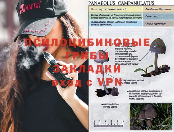 бутират Тайга