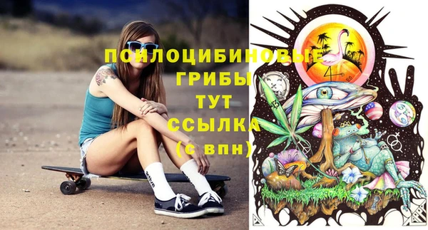 a pvp Тавда