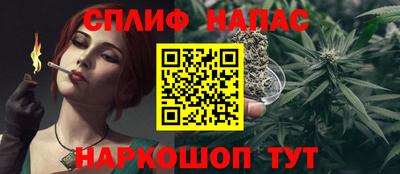 стаф Будённовск