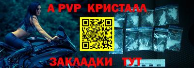 стаф Будённовск