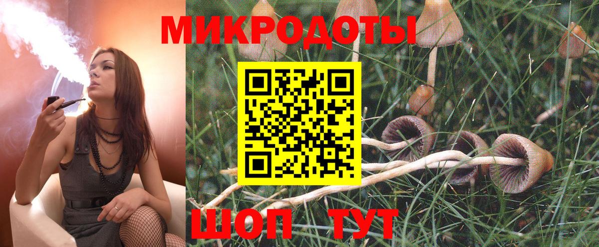 Галлюциногенные грибы Magic Shrooms  Белорецк 