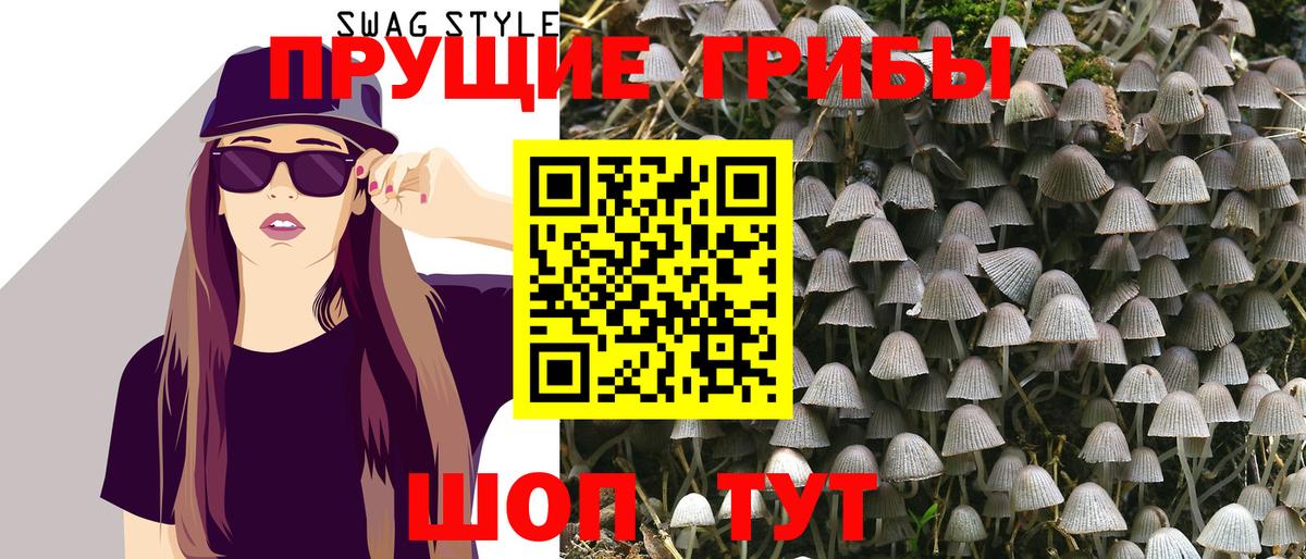 Псилоцибиновые грибы GOLDEN TEACHER Белорецк